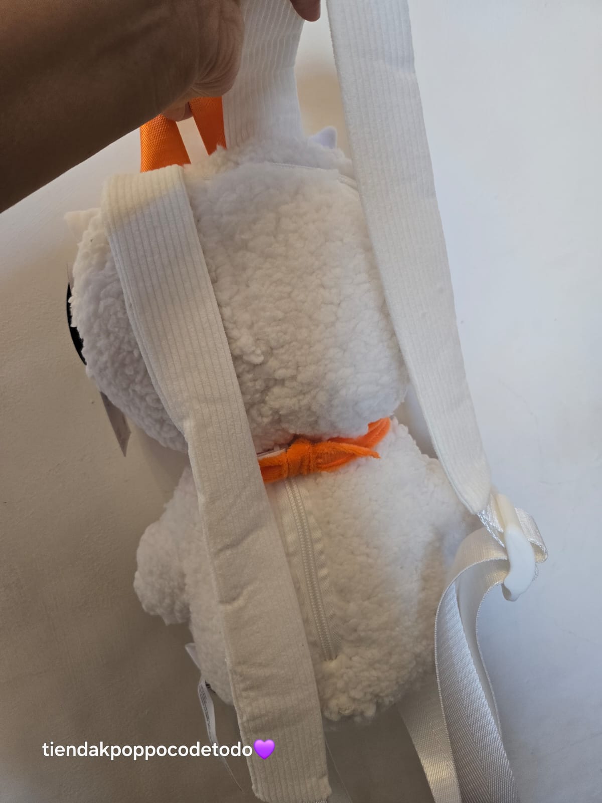 Mochila de peluche de RJ BT21