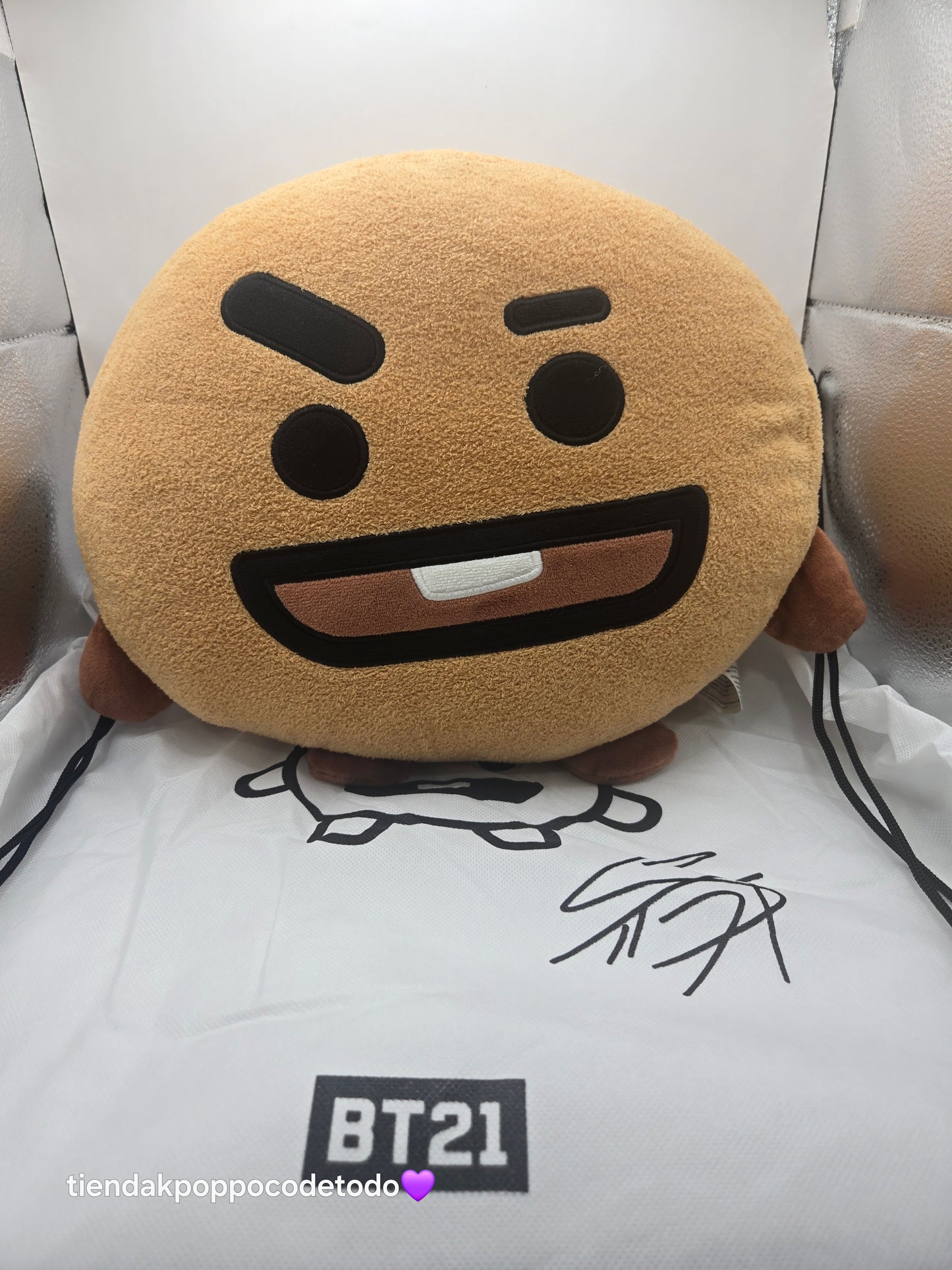 Almohada BT21