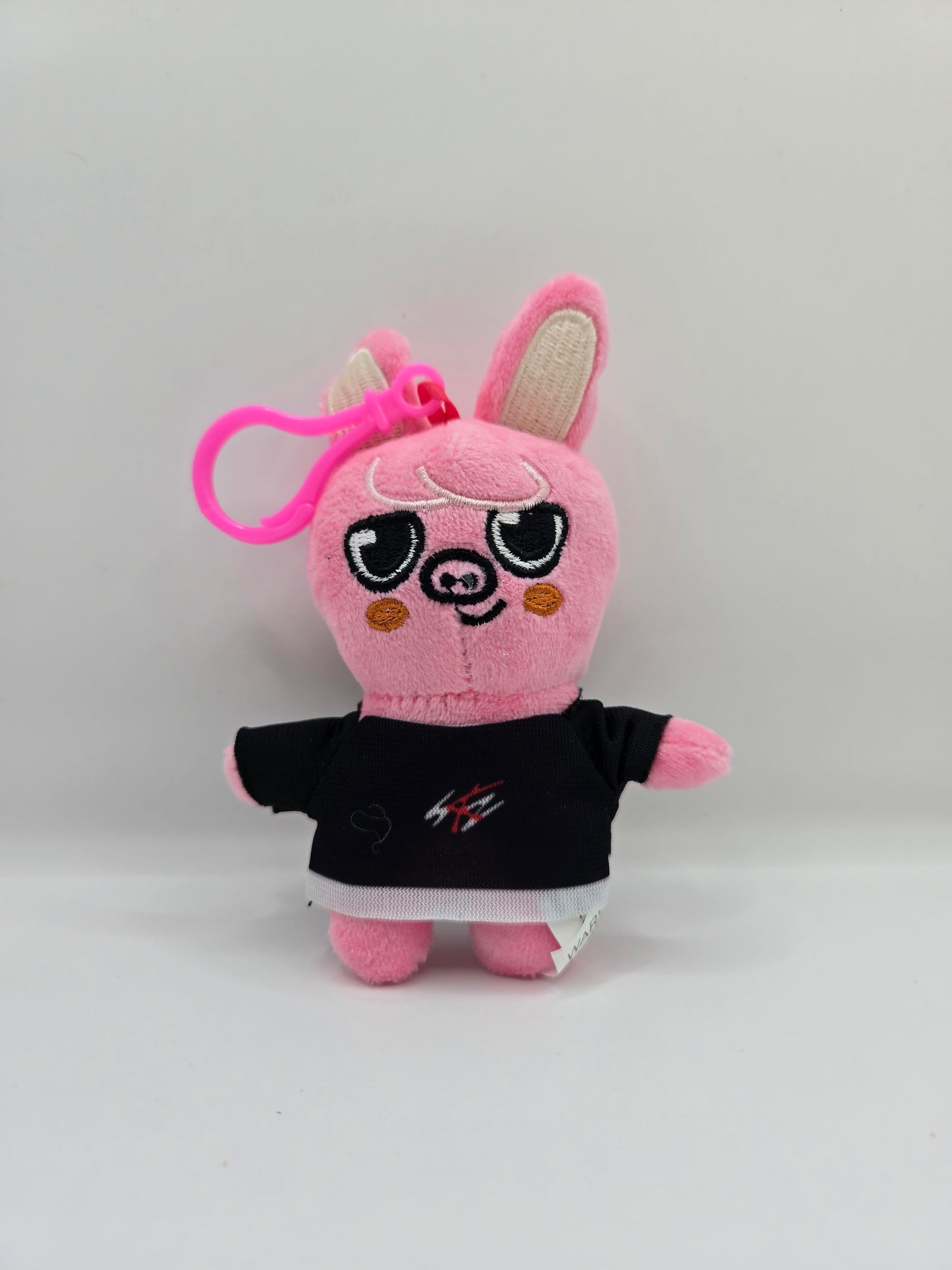 Peluche mini Dwaekki Changbin Skzoo