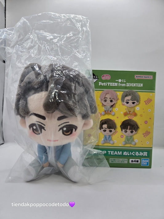 Peluches de Seventeen