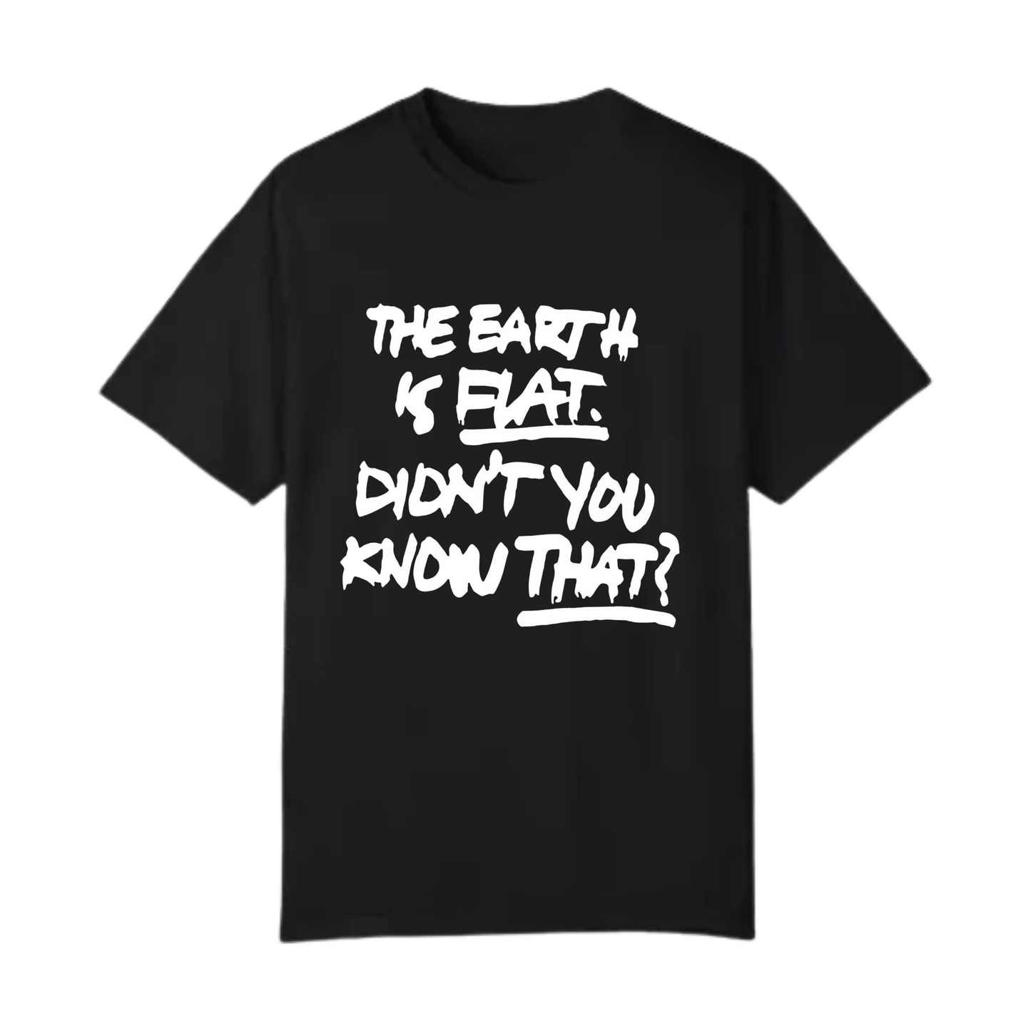 Playera The earth is flat. Didn´t you know that?